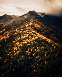 Bergblick