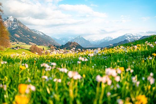 Lente-uitzicht in de Allgäu op de Allgäuer Alpen en de slotkerk St. Michael