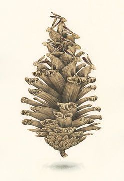 Pine cone and hares