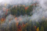 Autumn in the Dolomites, Italy by Henk Meijer Photography thumbnail