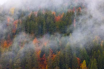 Herbst in den Dolomiten, Italien