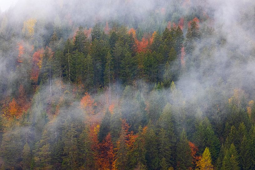 L'automne dans les Dolomites, Italie par Henk Meijer Photography