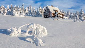 Winter cottage panorama formaat van Daniela Beyer