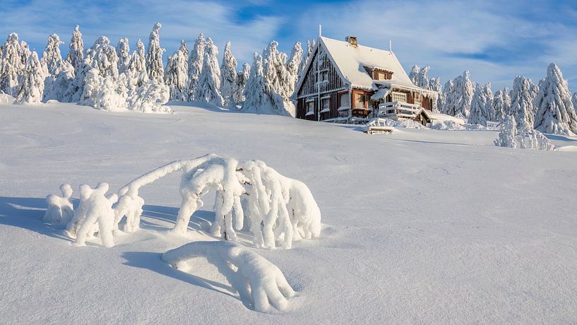 Winterhäuschen Panoramaformat von Daniela Beyer