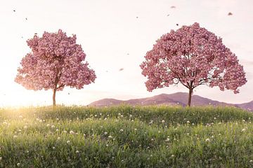 Cerisiers en fleurs dans une prairie verdoyante sur Besa Art