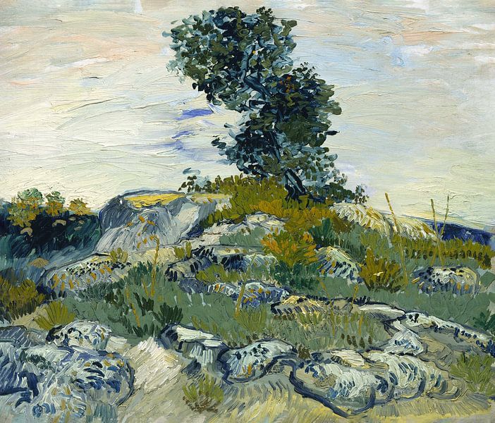 Felsen mit Baum, 1888 - Vincent van Gogh von 1000 Schilderijen