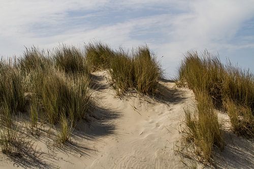 Dunes of Holland