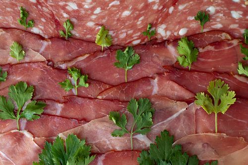 Landscape of sliced meat and coriander