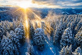 Verschneiter Fichtenwald aus der Vogelperspektive von ArtMomente