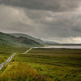 Easkey Bog, Ierland van Bo Scheeringa Photography