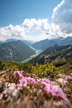 Flowery view of the Plansee by Leo Schindzielorz