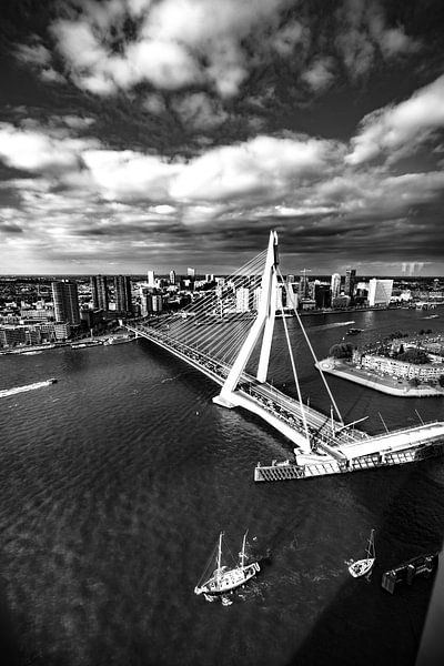 Le pont Erasmus à Rotterdam par Govert Govers