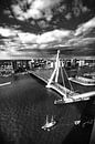 Le pont Erasmus à Rotterdam par Govert Govers Aperçu