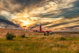 Lighthouse Eierland Texel by Brian Morgan