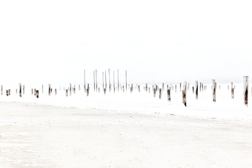 Palendorp Petten by MadebyGreet