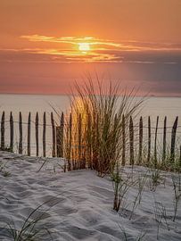 Blick aufs Meer von Robert Nederveen
