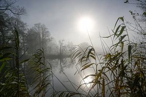 Fahle Sonne mit Reflexion über einem See an einem trüben, bewölkten Wintertag, Schilf im Vordergrund