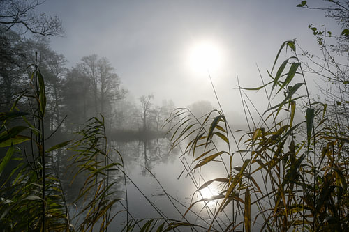 Fahle Sonne mit Reflexion über einem See an einem trüben, bewölkten Wintertag, Schilf im Vordergrund