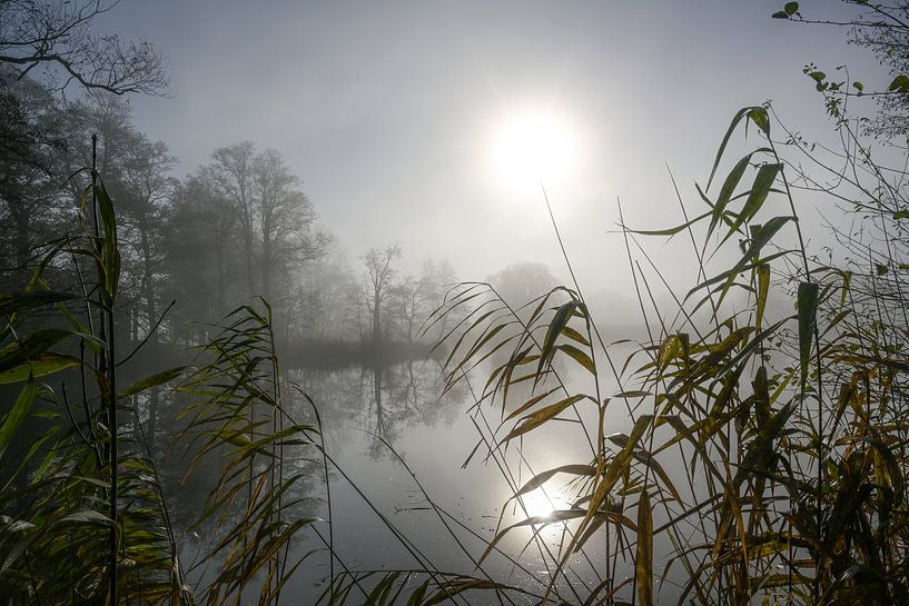 Soleil pâle avec réflexion sur un lac par une sombre journée nuageuse d'hiver, roseaux au premier pl par Maren Winter