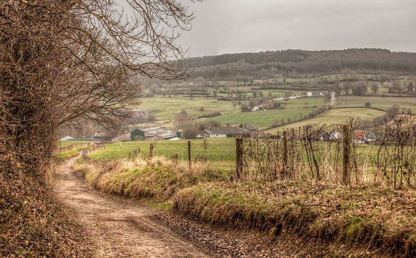 Limburgs Landschap bij Epen van John Kreukniet