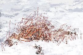 Ein Eindruck von Schilf im Schnee im Middendelftland von Atelier Rinke Baaima