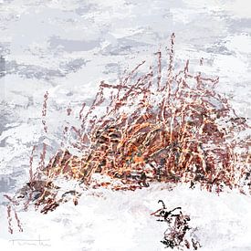 Vue des roseaux sous la neige dans la région du Middendelftland sur Atelier Rinke Baaima