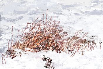 Impressie van riet in de sneeuw in het middendelftland