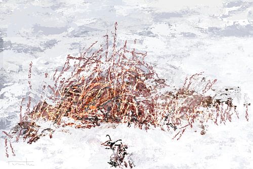 Vue des roseaux sous la neige dans la région du Middendelftland