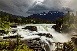 Die Athabasca Wasserfälle in Kanada