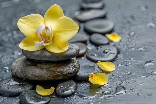 spiritueel in balans bloem en steen