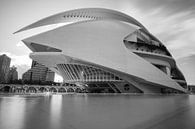 Calatrava Valencia Schwarz &Ampel; Weiß von Arthur Scheltes Miniaturansicht