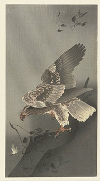 Adler, der die Beute beobachtet, Ohara Koson