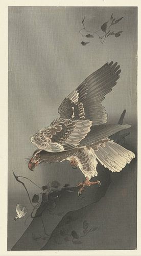 Eagle Watching Prey, Ohara Koson
