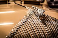 Chrysler grille met baleinen en radiator ornament van autofotografie nederland thumbnail