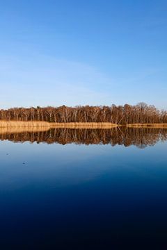 Het meer van Olba in maart van Thomas Jäger