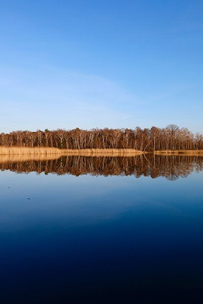 Olbasee im März von Thomas Jäger