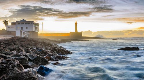 Guardians of the coast