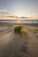 Zeeuwse Kust / Zeeland