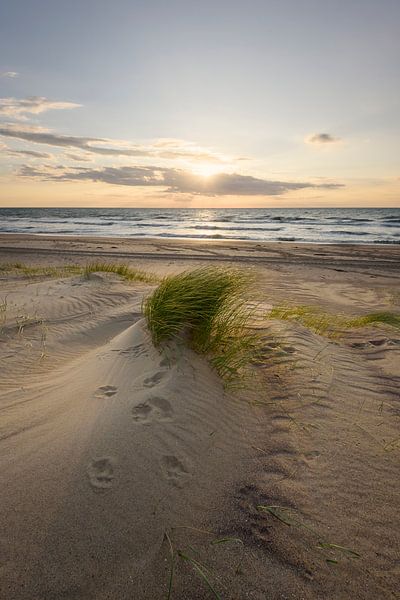 Zeeuwse Kust / Zeeland van Jolanda de Leeuw