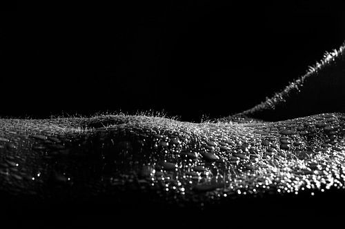Sensual female body covered in water - artistic nude photography