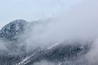 Mist in de winterse bergen.