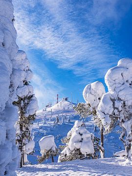 Paysage avec de la neige en hiver à Ruka, Finlande sur Rico Ködder
