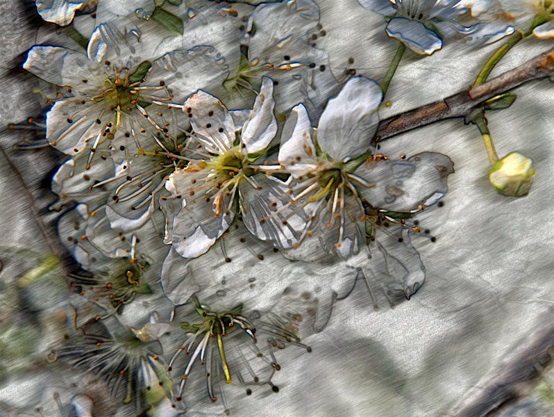 Fruitbloesems 2 van Edgar Schermaul