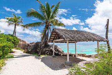 Paradis tropical La Digue Seychelles sur Nancy Pauwels Photo