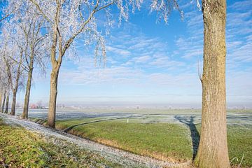Winterlandschap in de IJsseldelta met berijpte bomen van Sjoerd van der Wal