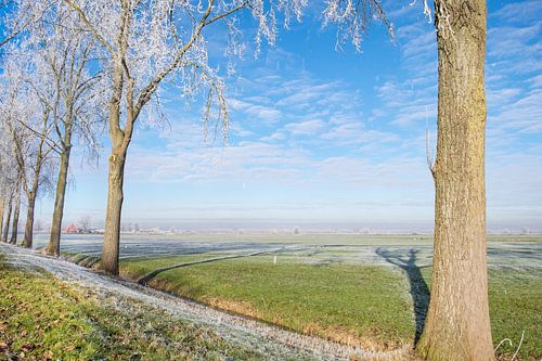 Horizontal givré d'hiver pendant un beau jour d'hiver dans la région d'IJsseldelta dans Overijssel