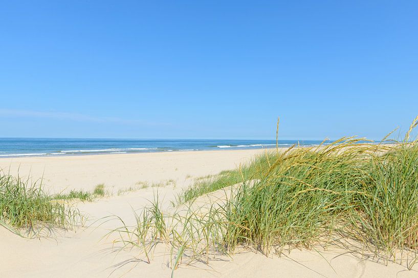 Zomer op het strand van Sjoerd van der Wal Fotografie