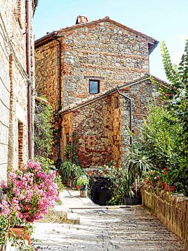 Oud huis Cetona Toscane van Dorothy Berry-Lound