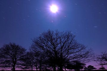 Night photo with moon in the Dwingelderveld by Ronald Wilfred Jansen