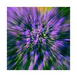 Zoom blur photography by Mirna!  Fotografie